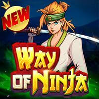 Way of Ninja slots